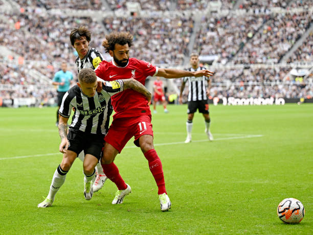 罗马的转会 罗马的转会