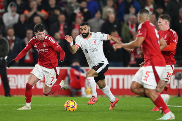 地的游客 地的游客